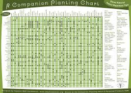 Companion Planting Chart Permablitz Melbourne