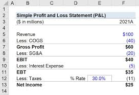 profit and loss statement p l