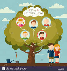 Family Tree Genealogy Illustration Stock Photos Family