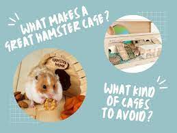 best hamster cages ethical cage