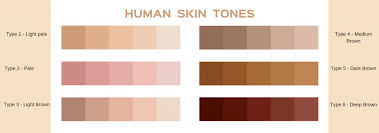 Skin Type Chart Esteem Royale Cosmetics Skincare Makeup