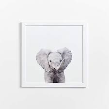 Baby Elephant Framed Wall Art Print