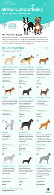Dog Lovers Breed Compatibility Balladeers Blog