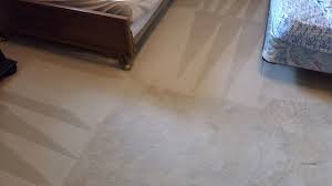 ocala carpet cleaning services