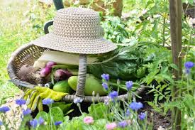 5 best gardening hats for every style