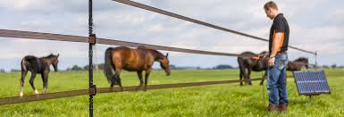 How Does An Electric Fence Work