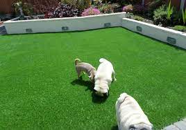 Best Artificial Grass For Your Lawn