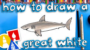 how to draw a great white shark you