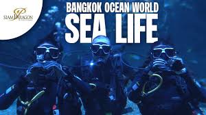 dive with sharks at sea life bangkok