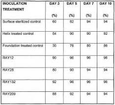 Library research paper conclusion SP ZOZ   ukowo ocd research paper conclusion jpg