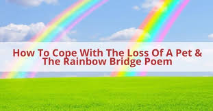 loss of a pet the rainbow bridge poem