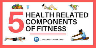 5 components of health fitness