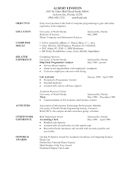 VP of IT Resume   IT Director Resume   Executive resume writer for    