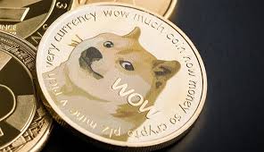 Dogecoin (doge) is a fairly unique cryptocurrency. Ubr2dkv9vatfwm
