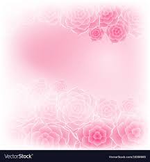 beautiful pink rose flower background