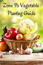 zone 9b vegetable planting guide