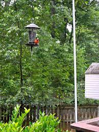 diy squirrel proof bird feeder pole