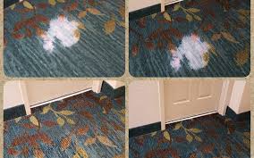 bleach stain repair maryland carpet