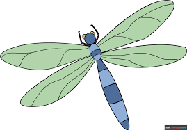 how to draw a dragonfly really easy