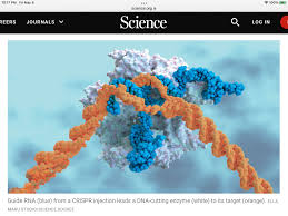 crispr gene editing and it s direct use