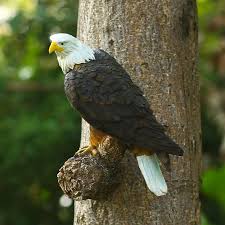 Virawa Bald Eagle Tree Hugger Tree