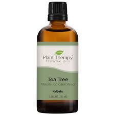 plant therapy essential oils tea tree