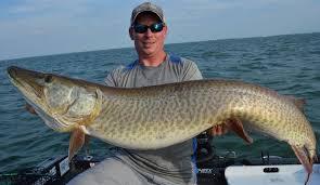 lake st clair fishing guide musky