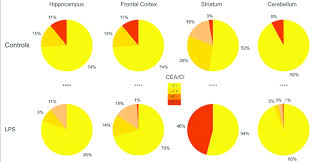Highlighting Sub Populations By Region The Pie Charts