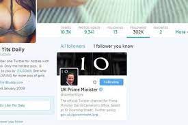I Like T*ts Daily' among bizarre Twitter accounts followed by David  Cameron's office | Independent.ie