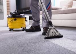 carpet cleaning adelaide why hire a