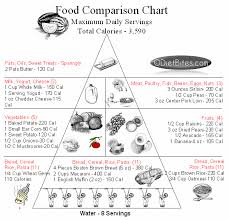 Food Pyramid Guide For Dieters The Daily Recommended Servings