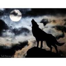 Image result for wolf howling at the moon