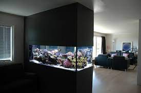 Partition room with Aquarium Design : Photos, Pictures, Ideas | Wall  aquarium, House interior, Unique fish tanks gambar png