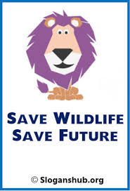 67 Best Wildlife Conservation Slogans Sayings