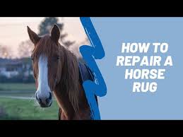 how to repair a horse rug three