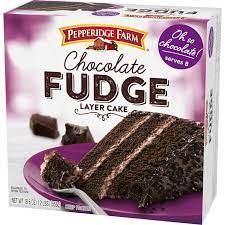 Chocolate Fudge Cake Frozen gambar png