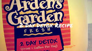 arden s garden 2 day detox recipe my