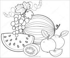 Bộ tranh tô màu hoa quả với nhiều loại hoa và trái cây nhất - Jadiny