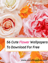 aesthetic flower wallpapers for iphone