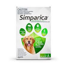 What Is The Best Flea And Tick Treatment Pet Circle