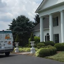 carpet cleaning near nicholasville ky