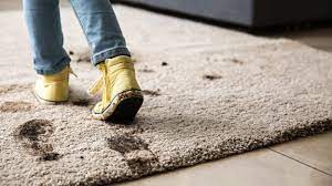 how to get mud stains out of carpet