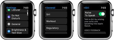 Stop paying for cell minutes, texts & landlines. How To Use The Siri Raise To Speak Feature In Watchos 5 Macrumors