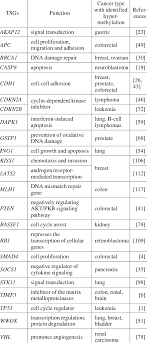TSGs promoter and first exon that are commonly methy- lated in human... |  Download Table