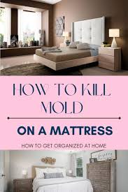 mold on a mattress how to