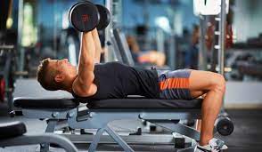 how to use a weight bench strength