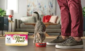 Purina Nutritious Dog And Cat Food For Your Pet
