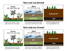 How Coal Was Formed Diagram