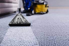 carpet shooing service