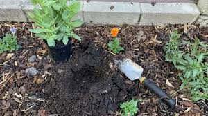 Fix Too Much Compost In Your Garden